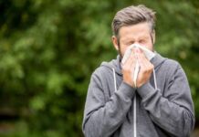 Natural Remedies for Hay Fever: What Science Actually Says About Symptom Relief Natural Remedies for Hay Fever