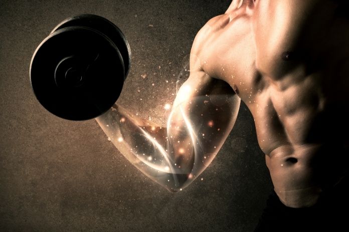 Neurological Adaptation Before Any Muscle Growth