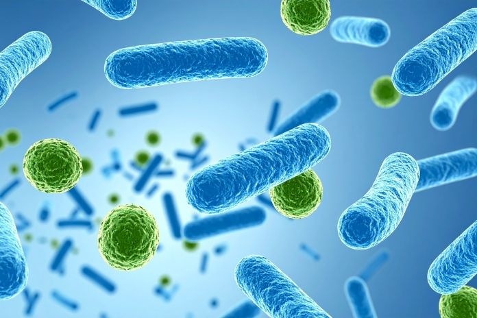 New Research on Disease Risk and Sex Differences