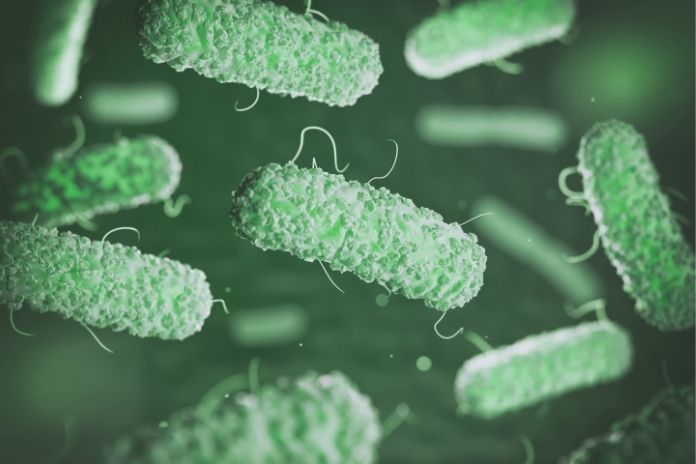 Oral Microbiome_ Small Detail But Important