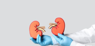 Ozempic and Kidney Disease: How Semaglutide May Help Protect Kidney Function Ozempic and Kidney Disease How Semaglutide May Help Protect Kidney Function