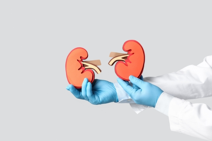 Ozempic and Kidney Disease How Semaglutide May Help Protect Kidney Function Ozempic and Kidney Disease How Semaglutide May Help Protect Kidney Function