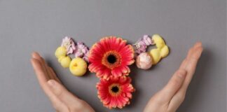 Perimenopause vs Menopause: Key Differences, Symptoms, and How to Tell Where You Are Perimenopause vs Menopause