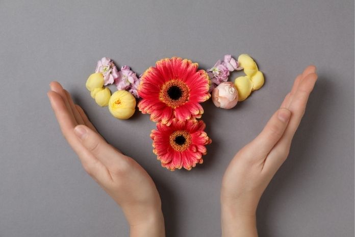 Perimenopause vs Menopause Perimenopause vs Menopause