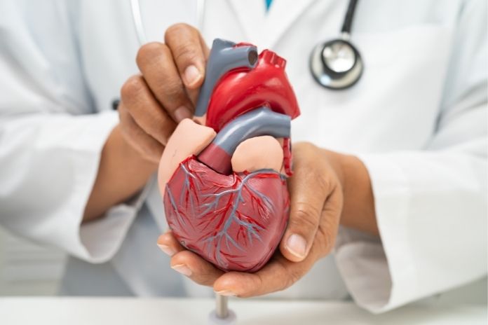 Possible Reasons Metformin May Blunt Exercise Benefits