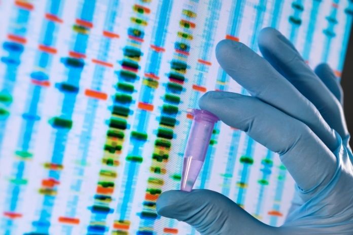 Prakriti and Personalized Medicine