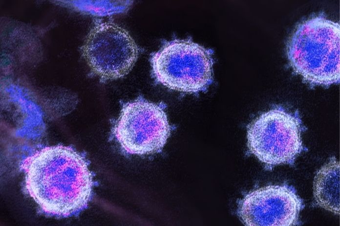 Strategy 3 Building a Fortress The Tumor Microenvironment