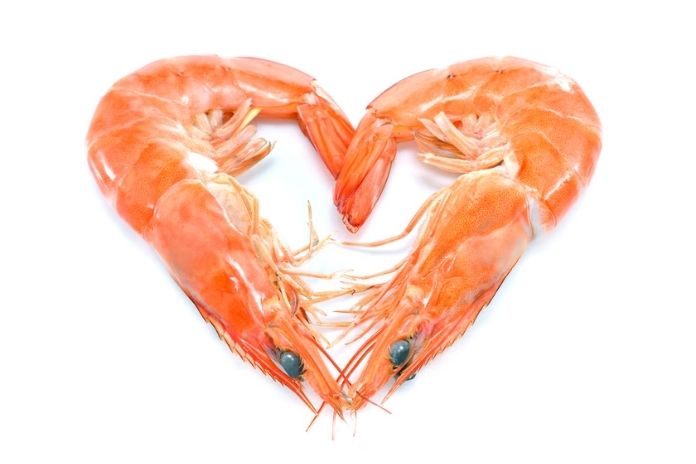 The Cholesterol Question: What Actually Happens in the Body