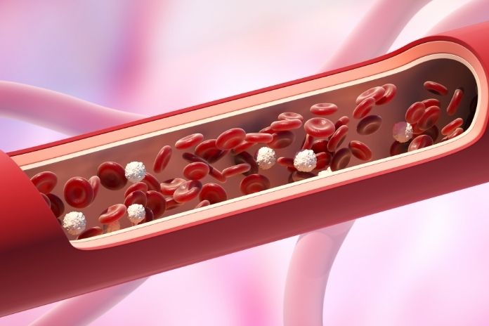 The Nitric Oxide Effect_ What’s Happening in Your Blood Vessels