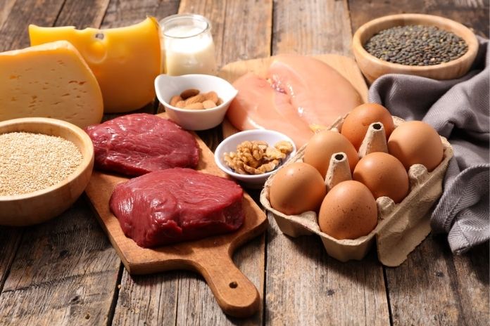 The Protein Requirement — the Most Important Variable