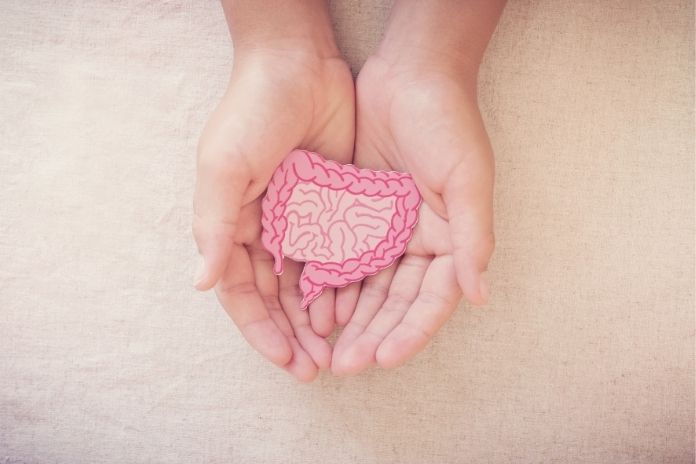 The Role of the Gut Microbiome in Immune Health
