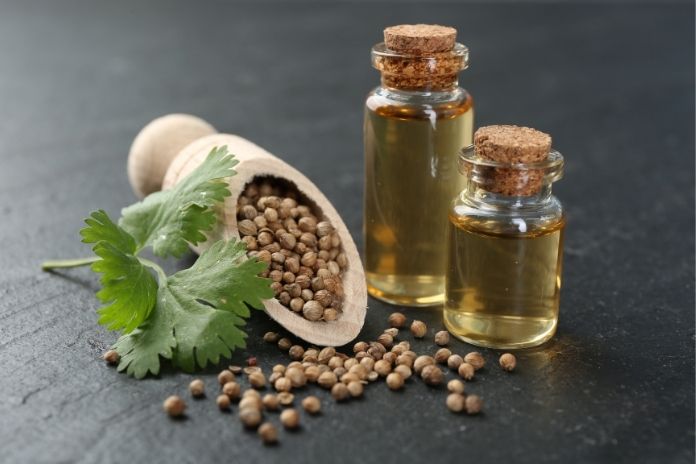 What Are Seed Oils