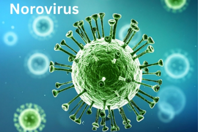 What Each Virus Is and Where It Comes From