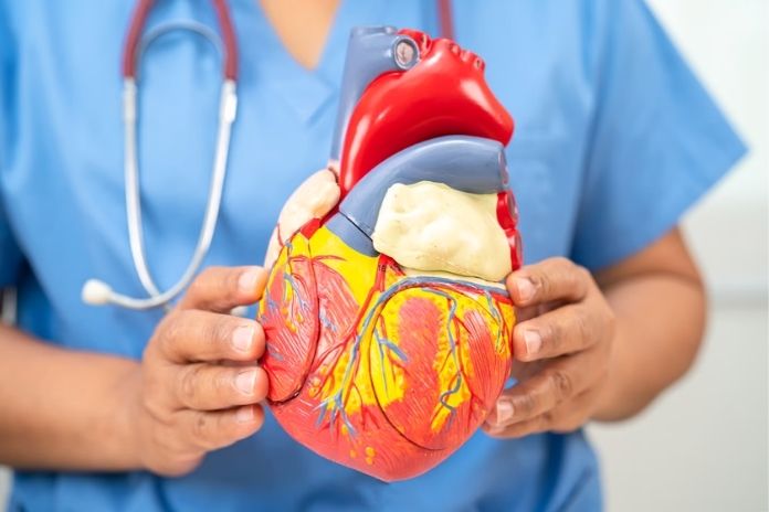 What Happens to Your Heart When Bedtime Changes