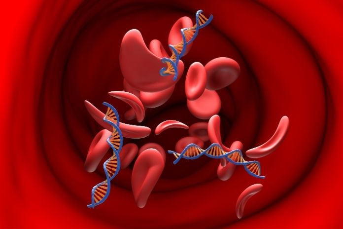 What Is Stem Cell Therapy