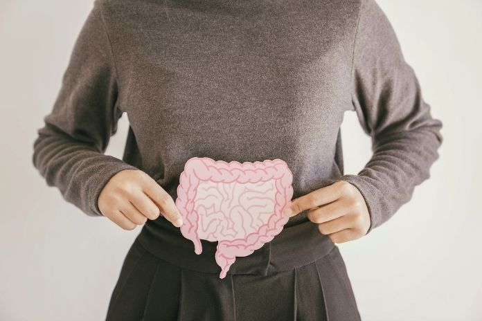 What Is the Blood-Gut Connection