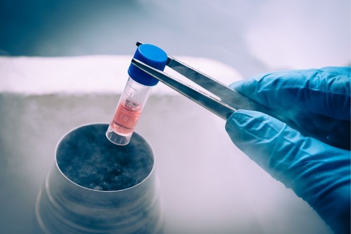 What Scientists Have Discovered About Hair Follicle Stem Cells