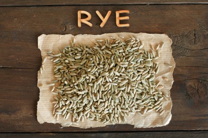 What the Research Actually Shows About Rye