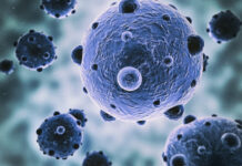 Why the Immune System Sometimes Fails to Stop Cancer — Explained Why the Immune System Sometimes Fails to Stop Cancer - Explained