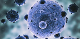 Why the Immune System Sometimes Fails to Stop Cancer — Explained Why the Immune System Sometimes Fails to Stop Cancer - Explained