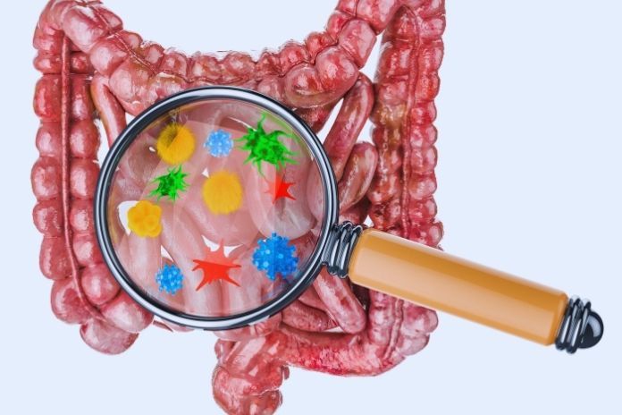 Can Lifestyle Changes Improve IBS Symptoms