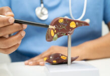 Can Your Liver Heal Itself? What the Science Actually Shows Can Your Liver Heal Itself