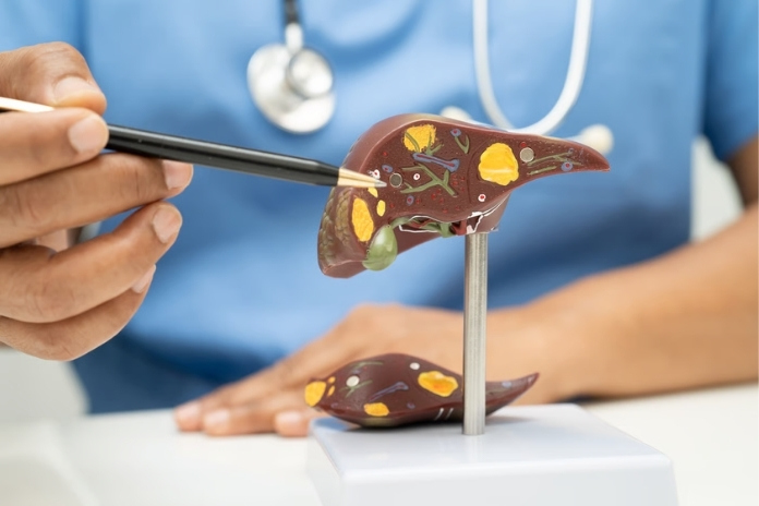 Can Your Liver Heal Itself Can Your Liver Heal Itself