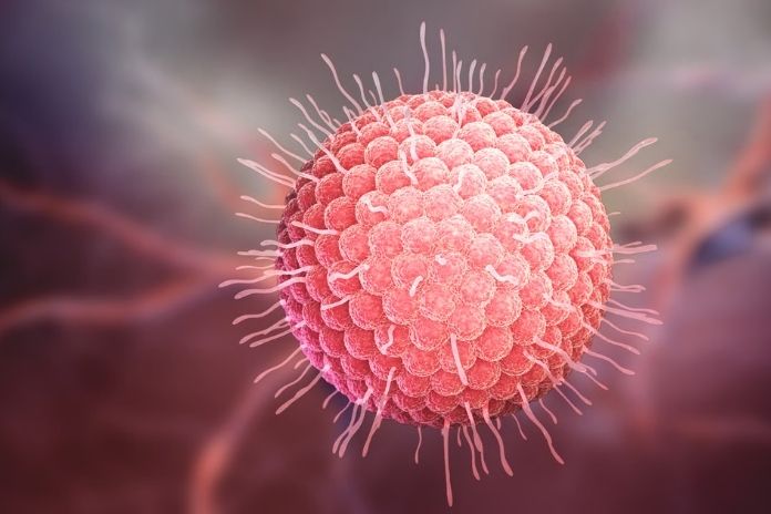 Cancer Risk What IARC Actually Says