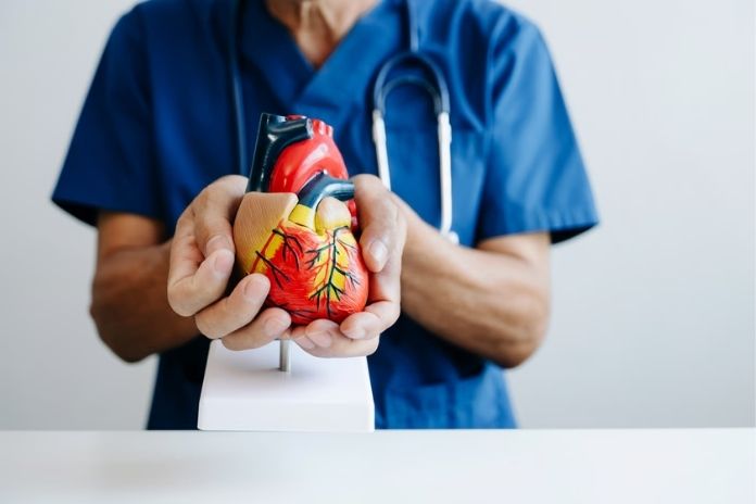 Cardiovascular Risk The Evidence and the Scale