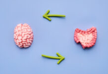 Do 80% of Gut-Brain Signals Travel From the Gut to the Brain? What the Gut-Brain Axis Really Means Do 80 of Gut-Brain Signals Travel From the Gut to the Brain