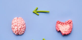 Do 80% of Gut-Brain Signals Travel From the Gut to the Brain? What the Gut-Brain Axis Really Means Do 80 of Gut-Brain Signals Travel From the Gut to the Brain