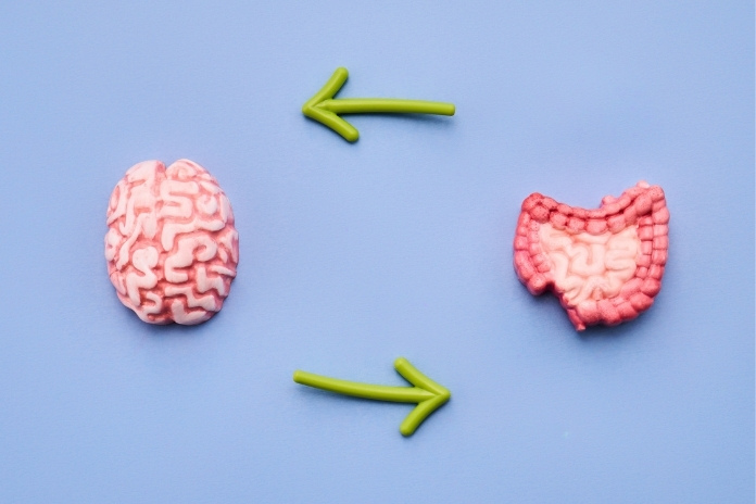 Do 80 of Gut-Brain Signals Travel From the Gut to the Brain Do 80 of Gut-Brain Signals Travel From the Gut to the Brain