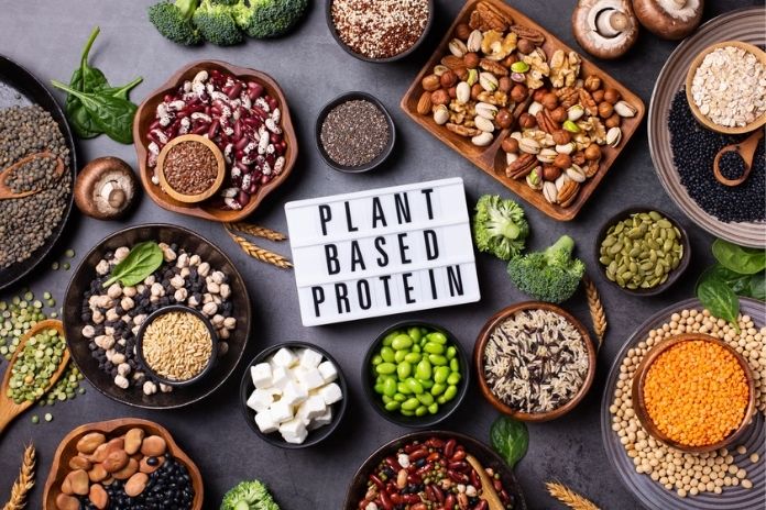Do Plant Proteins Work as Well as Animal Protein