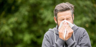 Hay Fever Season: When It Starts, Peaks, and Ends Hay Fever Season When It Starts Peaks and Ends