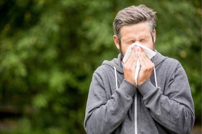 Hay Fever Season When It Starts Peaks and Ends Hay Fever Season When It Starts Peaks and Ends