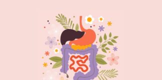 How Long Does Food Actually Take to Go Through Your Body? A Step-by-Step Digestive Timeline How Long Does Food Actually Take to Go Through Your Body