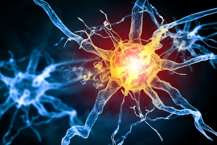 How Your Hormones Affect Your Bones How Your Hormones Affect Your Bones