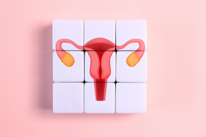PCOS and Hormonal Imbalance PCOS and Hormonal Imbalance