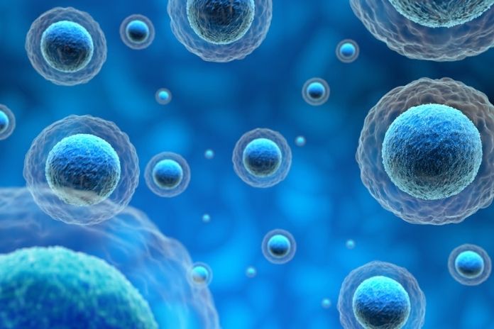 Reduced Cancer Risk