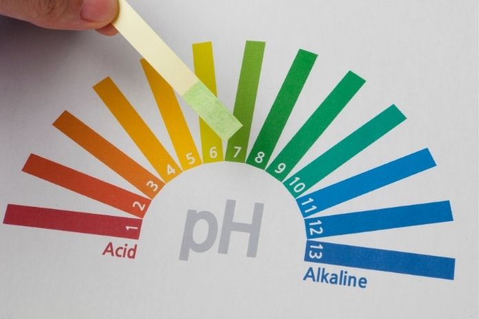 Signs That Vaginal pH or the Microbiome May Be Out of Balance