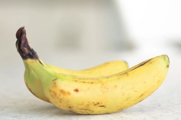 Slightly Underripe Banana
