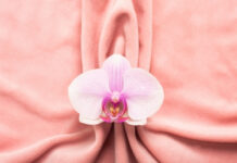 The Clitoris Explained: The Full Anatomy Most People Never Learned The Clitoris Explained