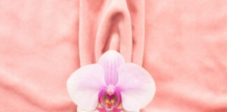 The Clitoris Explained: The Full Anatomy Most People Never Learned The Clitoris Explained