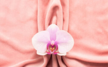 The Clitoris Explained: The Full Anatomy Most People Never Learned The Clitoris Explained
