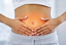 The Gut Health Diet: What to Eat — and What to Limit — for Better Digestion The Gut Health Diet