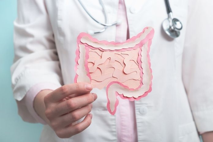 The Gut Microbiomes Role in Brain Health
