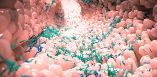 The Vaginal and Bladder Microbiome: Why pH Matters for Urinary, Vaginal, and Overall Health The Vaginal and Bladder Microbiome