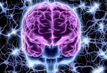 The Vagus Nerve Explained: How Your Gut and Brain Talk to Each Other The Vagus Nerve Explained How Your Gut and Brain Talk to Each Other