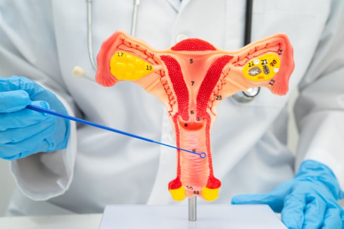 Ways to Manage Menopause-Like Symptoms While Nursing