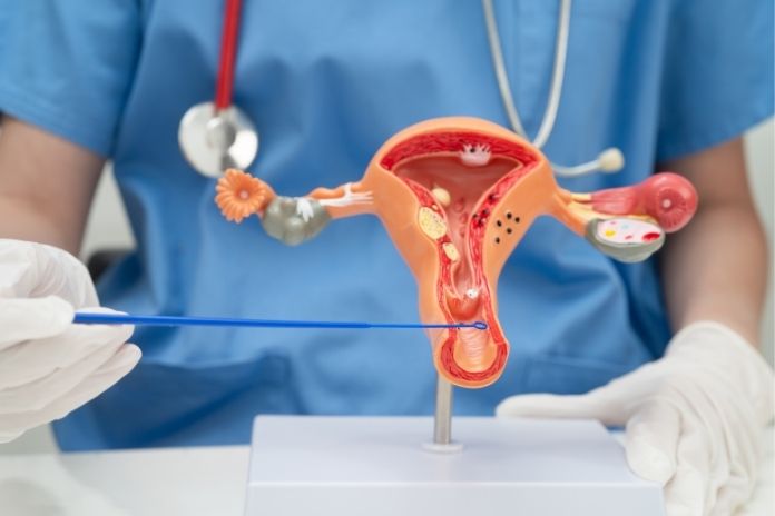 What Does the Research Say About Vaginal Estrogen